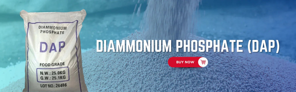 Diammonium Phosphate (DAP): The Powerhouse for Plant Growth