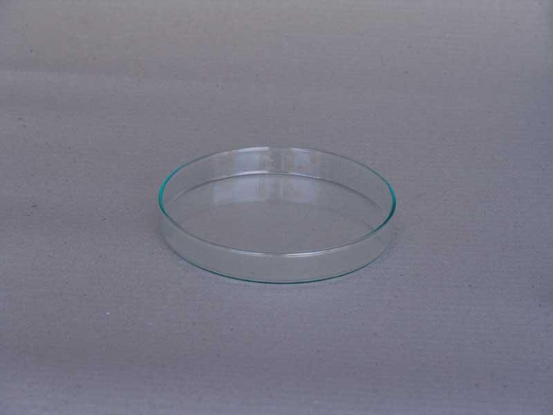 Petri Dish/ Glass